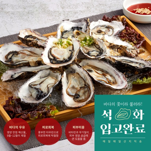 80da8797c746325e1314172f970ad59b_1668744